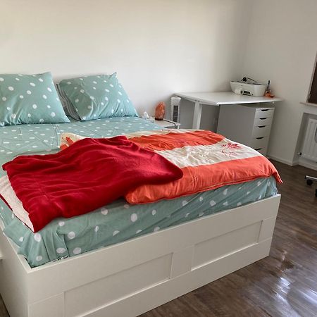 Nice Cozy Appartment Remich Extérieur photo